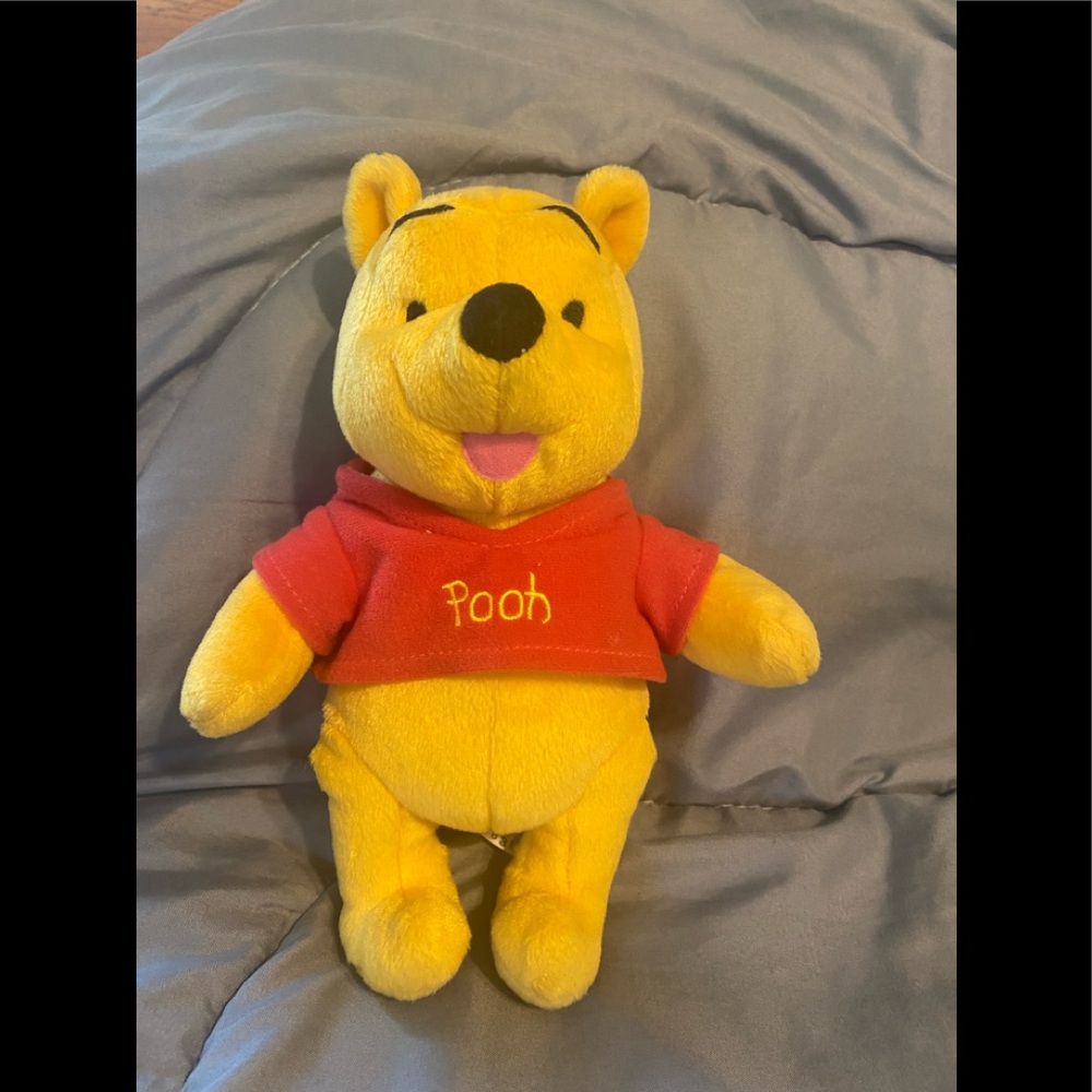 Winnie the Pooh 9” stuff toy